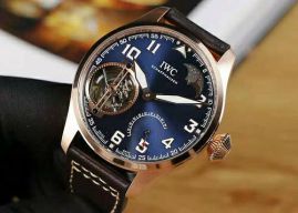 Picture of IWC Watch _SKU1797747854311532